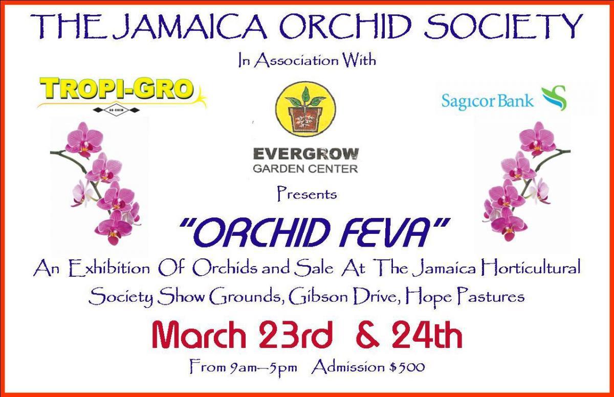 Jamaica Orchid Society Show