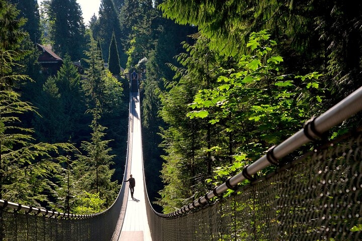 Vancouver City Sightseeing Tour: Capilano Suspension Bridge & Vancouver Lookout