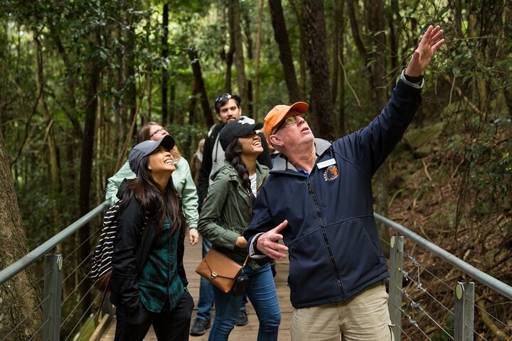 Small All Inclusive Blue Mountain,Scenic World,Lunch,Koalas,ferry