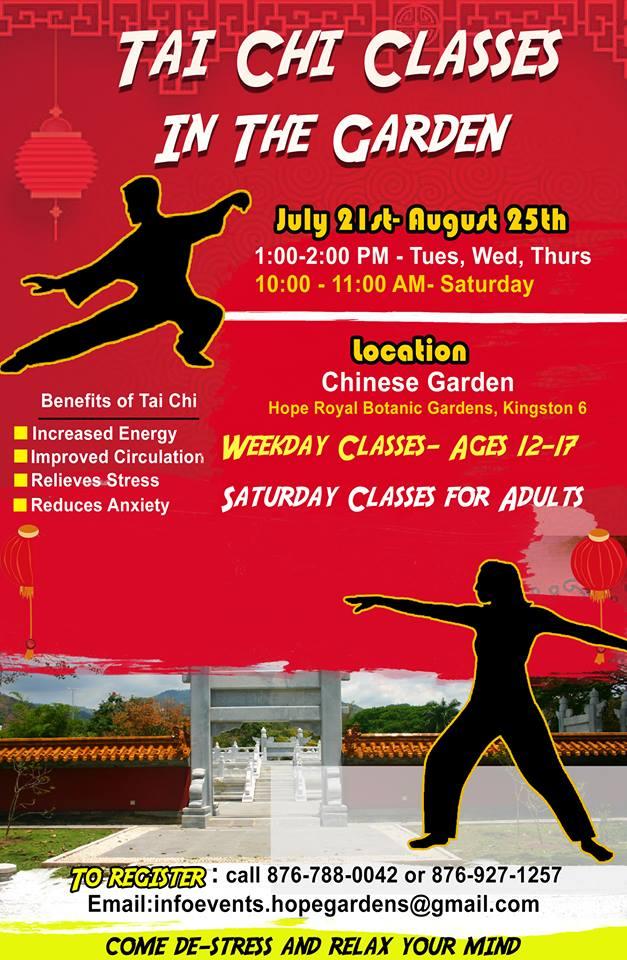 Tai Chi Classes In The Garden