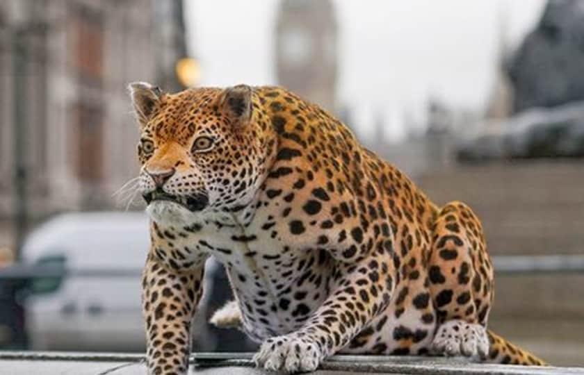 National Geographic Live - Hunt for Sleeping Giants with Andrés Ruzo