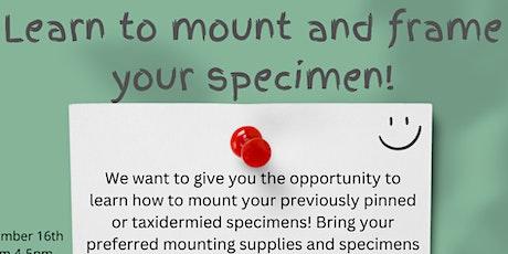 Learn to mount your own specimen!