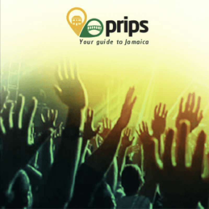 Unleash - Animal Print Edition