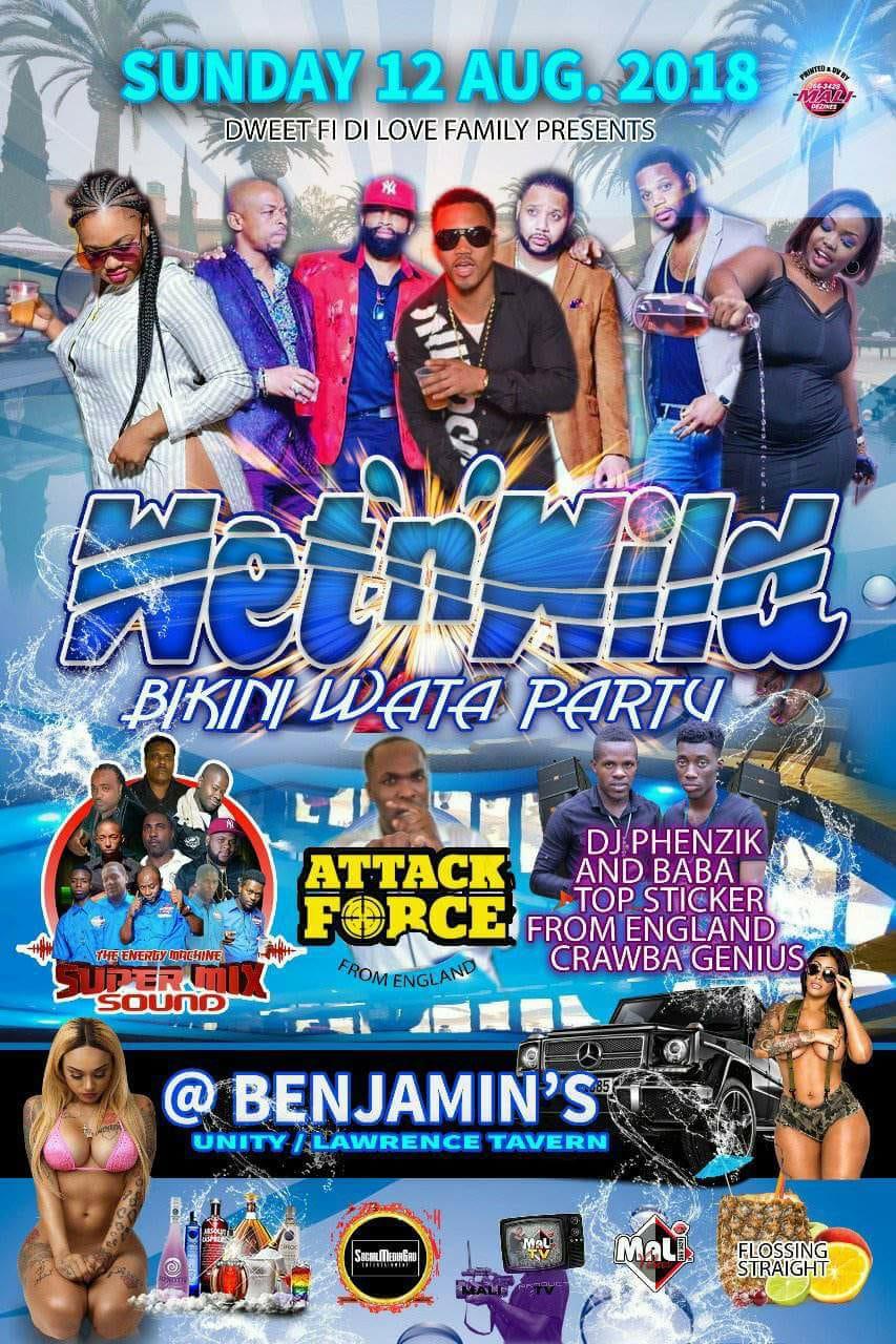 Wet 'N' Wild: Bikini Wata Party