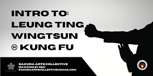 Introduction to Leung Ting WingTsun ® Kung Fu