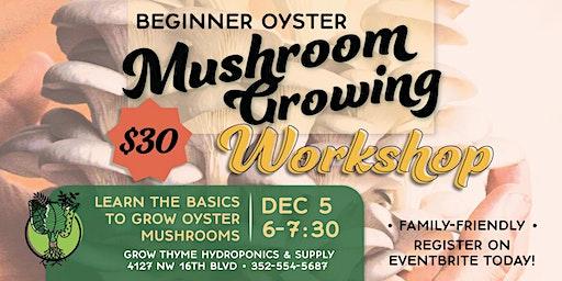 December—Beginner Oyster Mushroom Growing