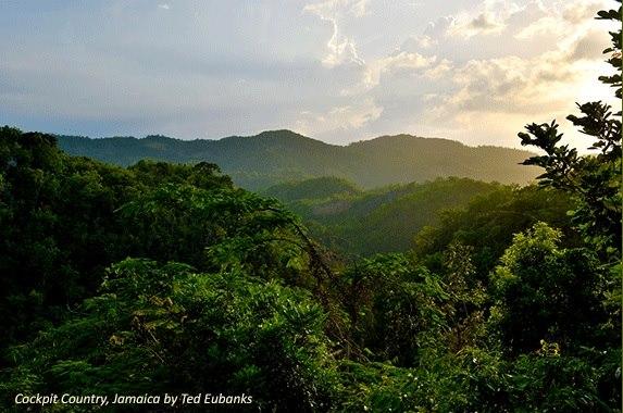 BirdsCaribbean's 20th International Meeting