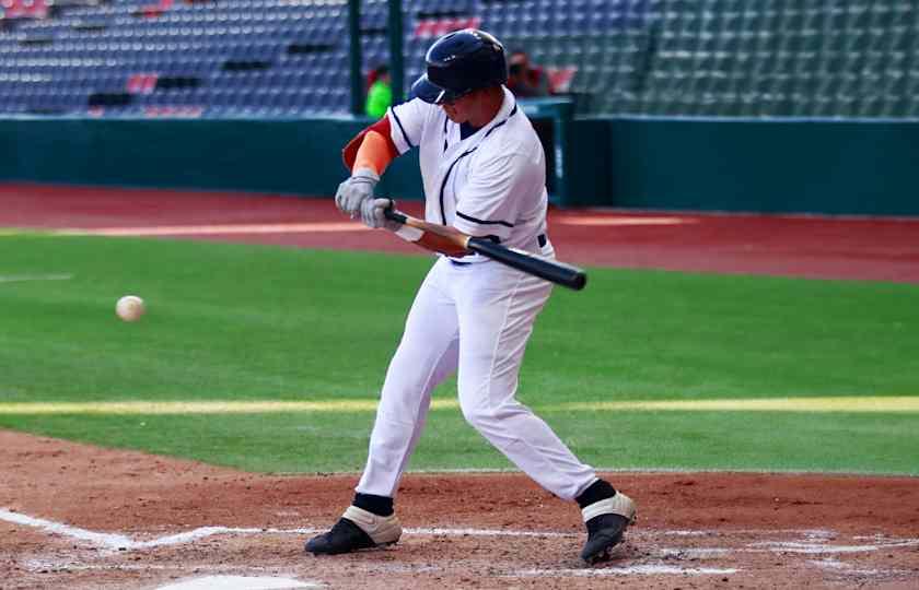 Kane County Cougars at Gary SouthShore RailCats