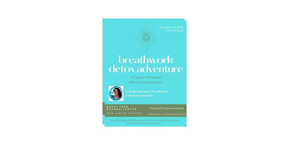 Breathwork Detox Journey