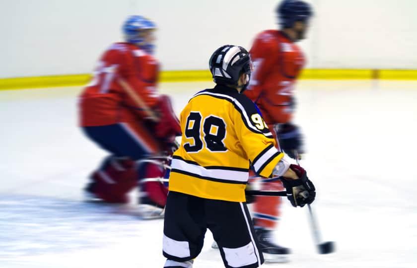 Phoenix de Sherbrooke Hockey at Val-d'Or Foreurs Hockey
