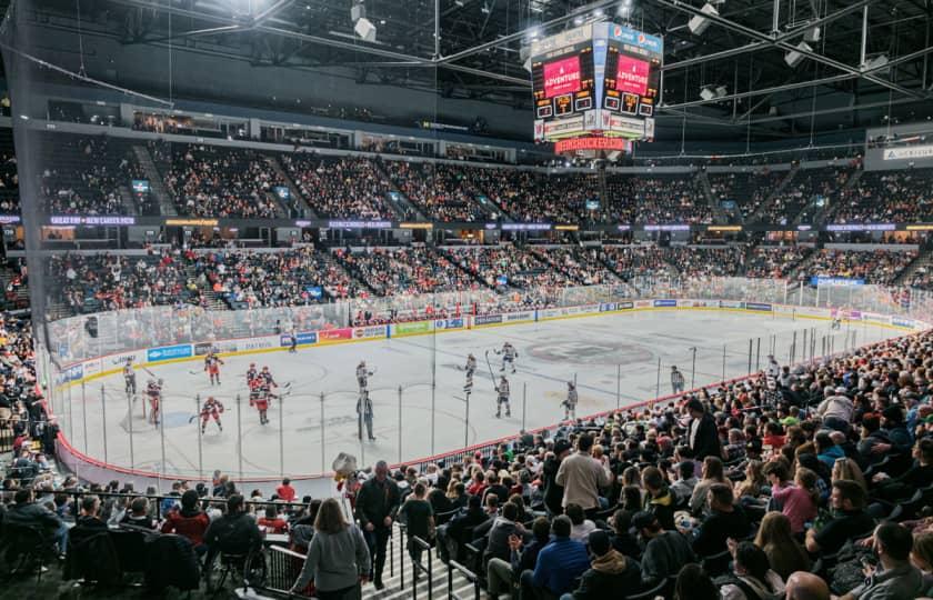Iowa Wild vs. Grand Rapids Griffins