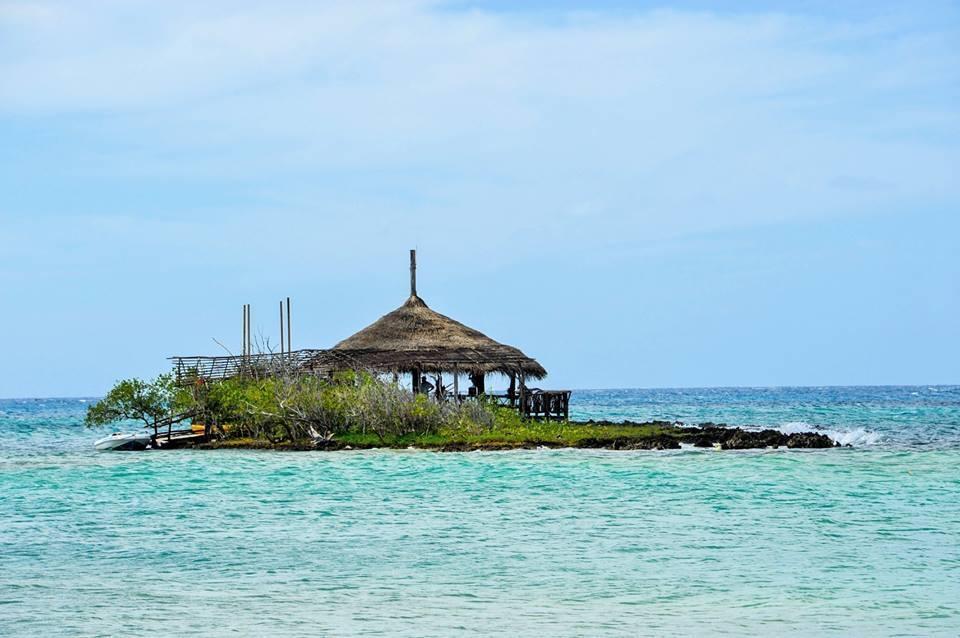 Live Music On Saturday 14 Jan At 2pm... Only $5 For The Boat Ride Roundtrip