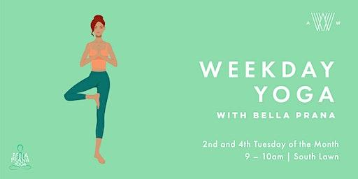 Weekday Yoga - December 13th