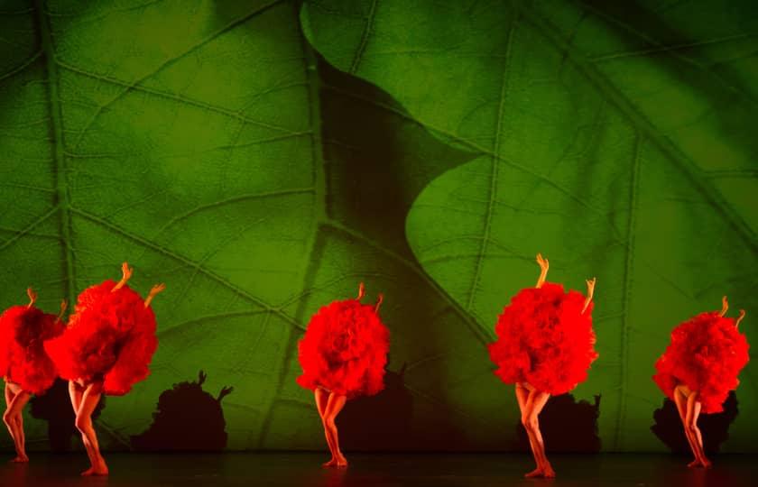 MOMIX - Alice