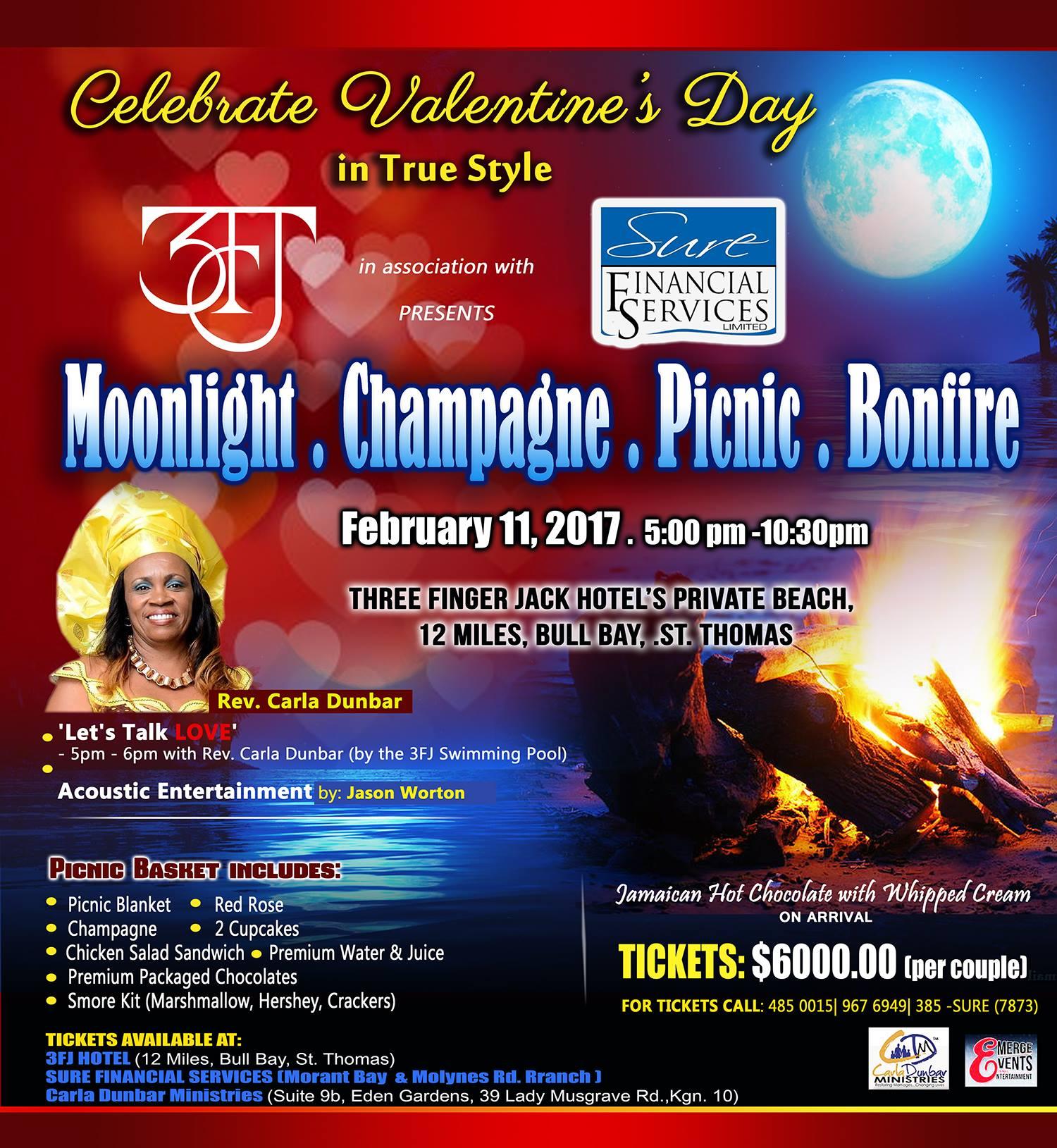 Moonlight Champagne Picnic Bonfire