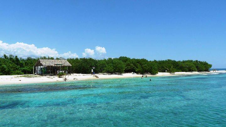 The Kingston Experience