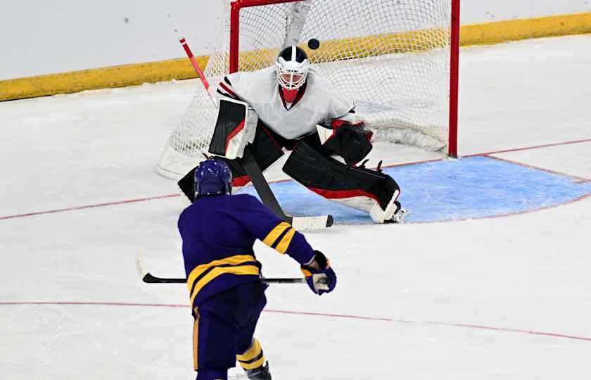 Minnesota State Mankato Mavericks at Minnesota Golden Gophers Womens Hockey