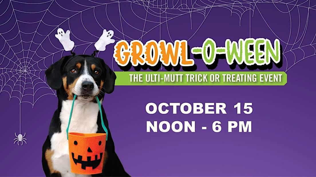 Halloween Trick or treating for your DOG
Sat Oct 15, 11:00 AM - Sat Oct 15, 6:00 PM