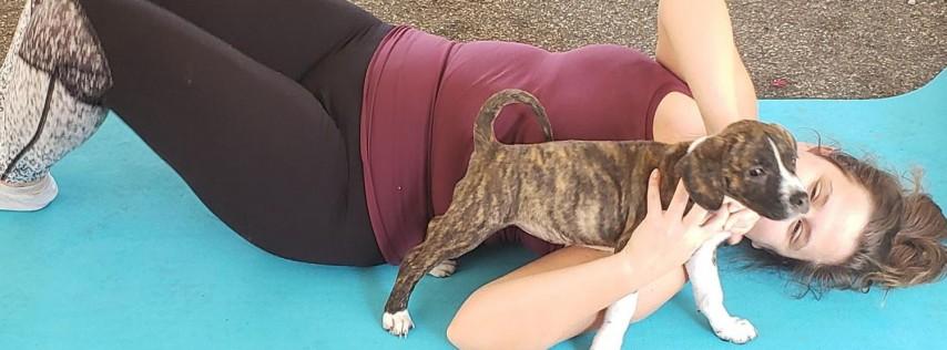 Doggie Noses and Yoga Poses at 3 Daughters!