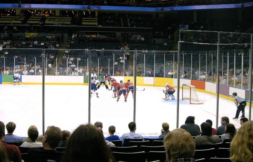 South Carolina Stingrays vs. Greenville Swamp Rabbits