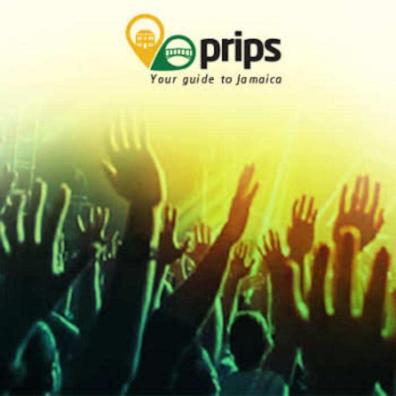 Improve Your Public Speaking