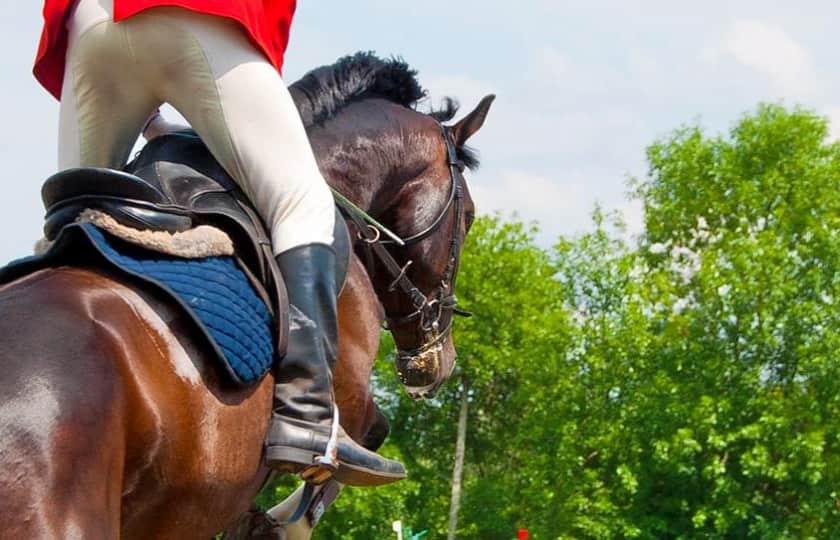 Scottsdale Arabian Horse Show Arizona