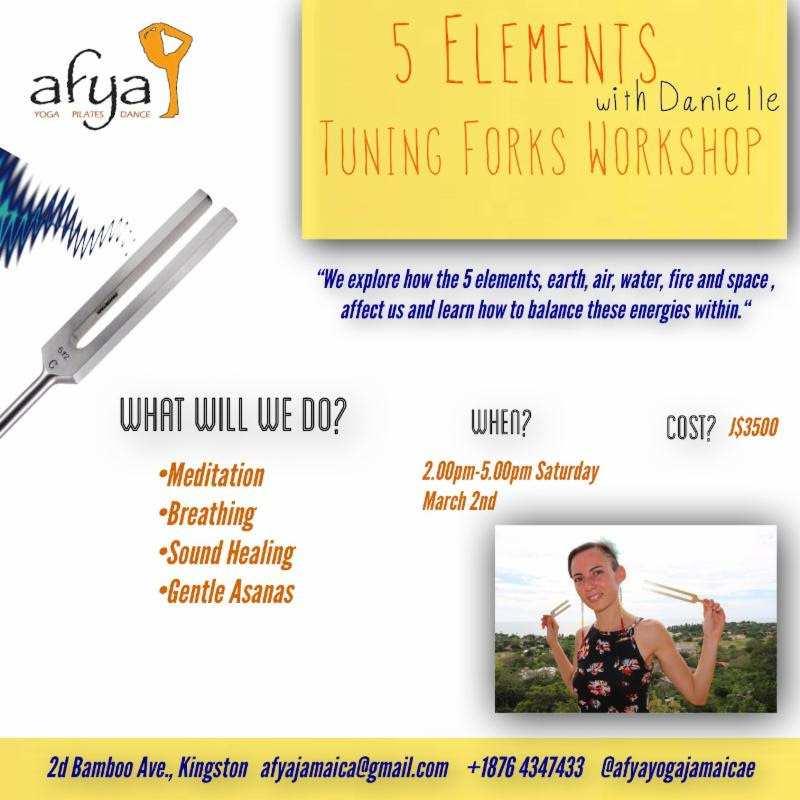 5 Elements with Danielle