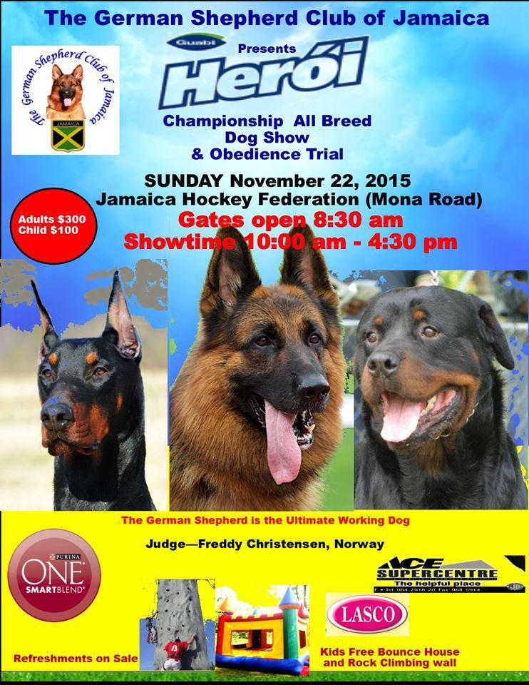 Championship Breed and All Breed Show