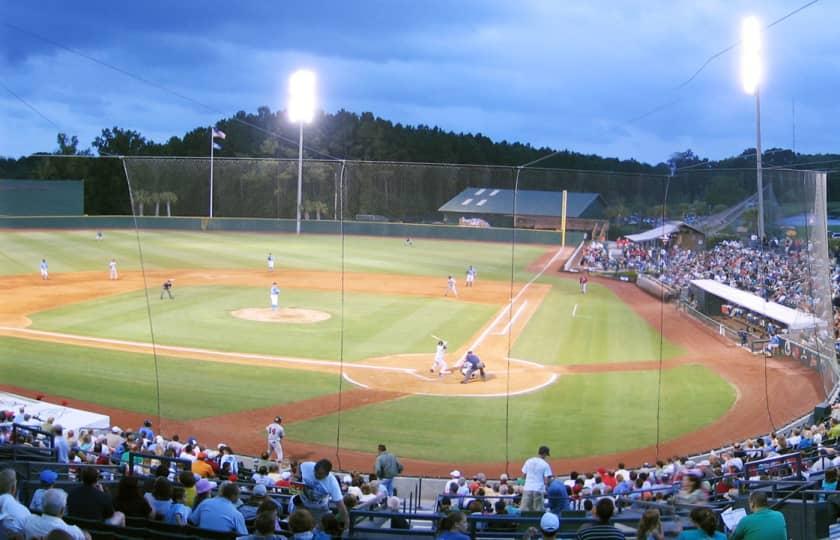 Delmarva Shorebirds at Myrtle Beach Pelicans