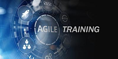 Agile & Scrum Certification Training in Punta Gorda, FL