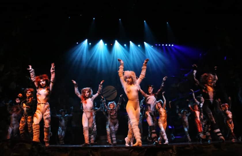 Cats The Musical