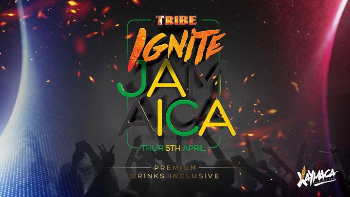 TRIBE Ignite Jamaica