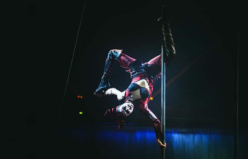 Cirque du Soleil: Drawn to Life