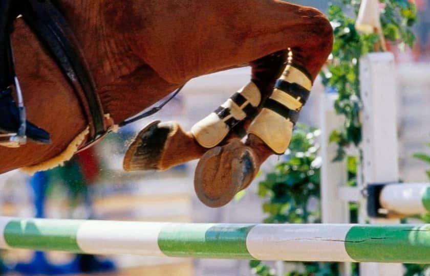 Family Day at the Royal Horse Show