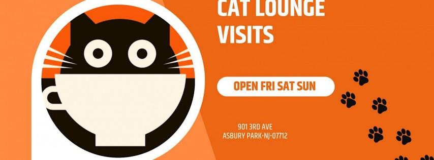 Cat Lounge Visits!