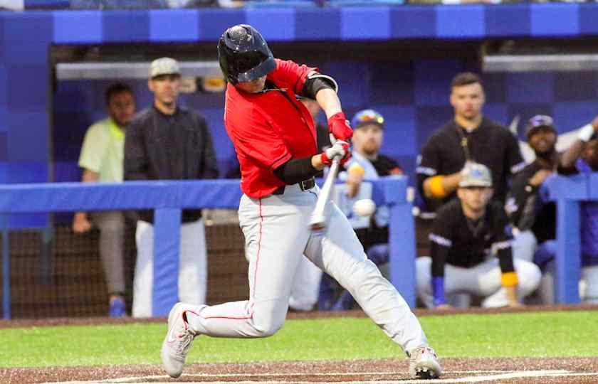 Wright State Raiders at Georgia Bulldogs Baseball