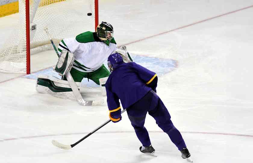 Savannah Ghost Pirates at Greensboro Gargoyles