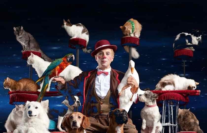 Popovich Comedy Pet Theater