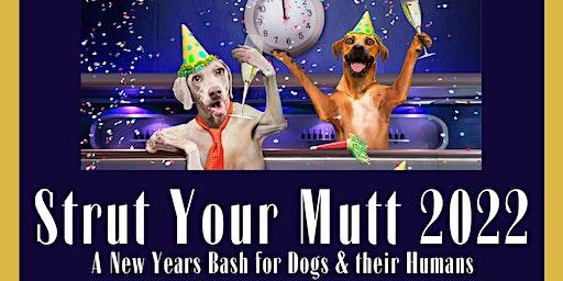 Strut Your Mutt 2023, New Years Bash for Doggies and their Humans