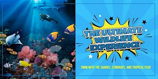 Aquatic Wildlife Tours