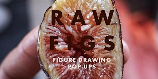 Raw Figs x Understory