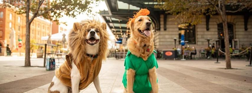 Howl-a-Ween Pet Parade at Denver Union Station