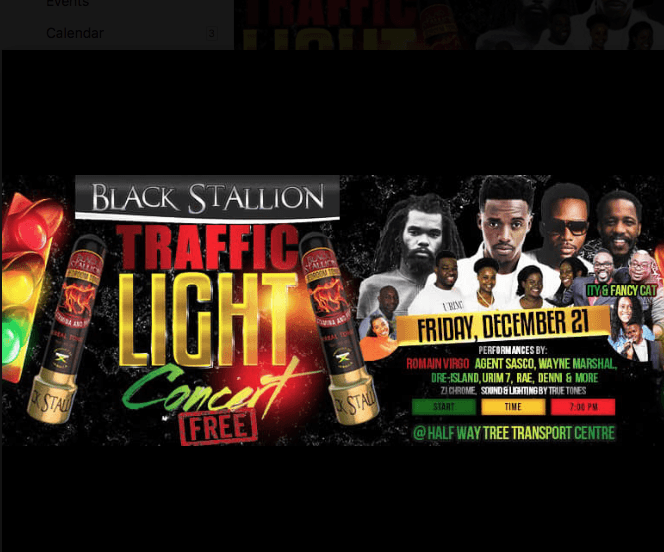 Black Stallion Traffic Light Concert