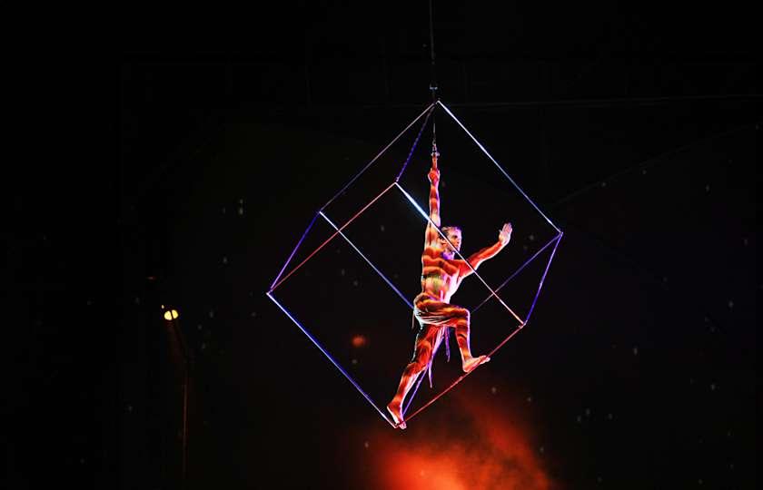 Cirque du Soleil - Mystère