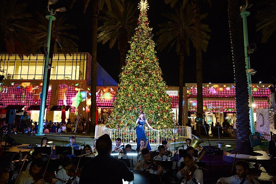 Celebrate the Season at the Lincoln Road Holiday Tree Lighting Ceremony