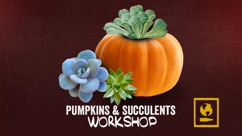 Pumpkin Succulent Workshop
