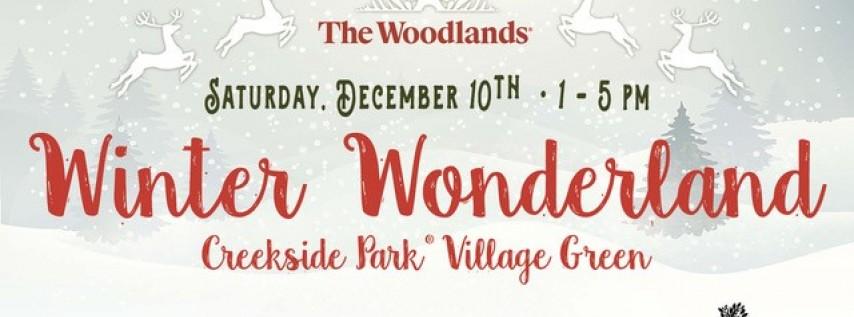 The Woodlands Winter Wonderland