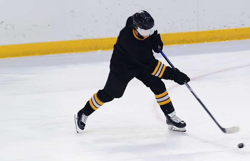 Madison Capitols at Green Bay Gamblers