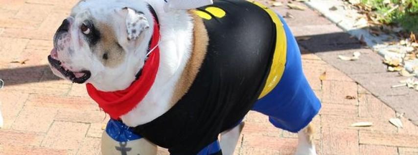 Sarasota DOG-A-WEEN Costume Contest