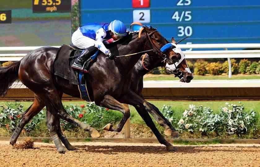 Del Mar Thoroughbred Racing - Thursday